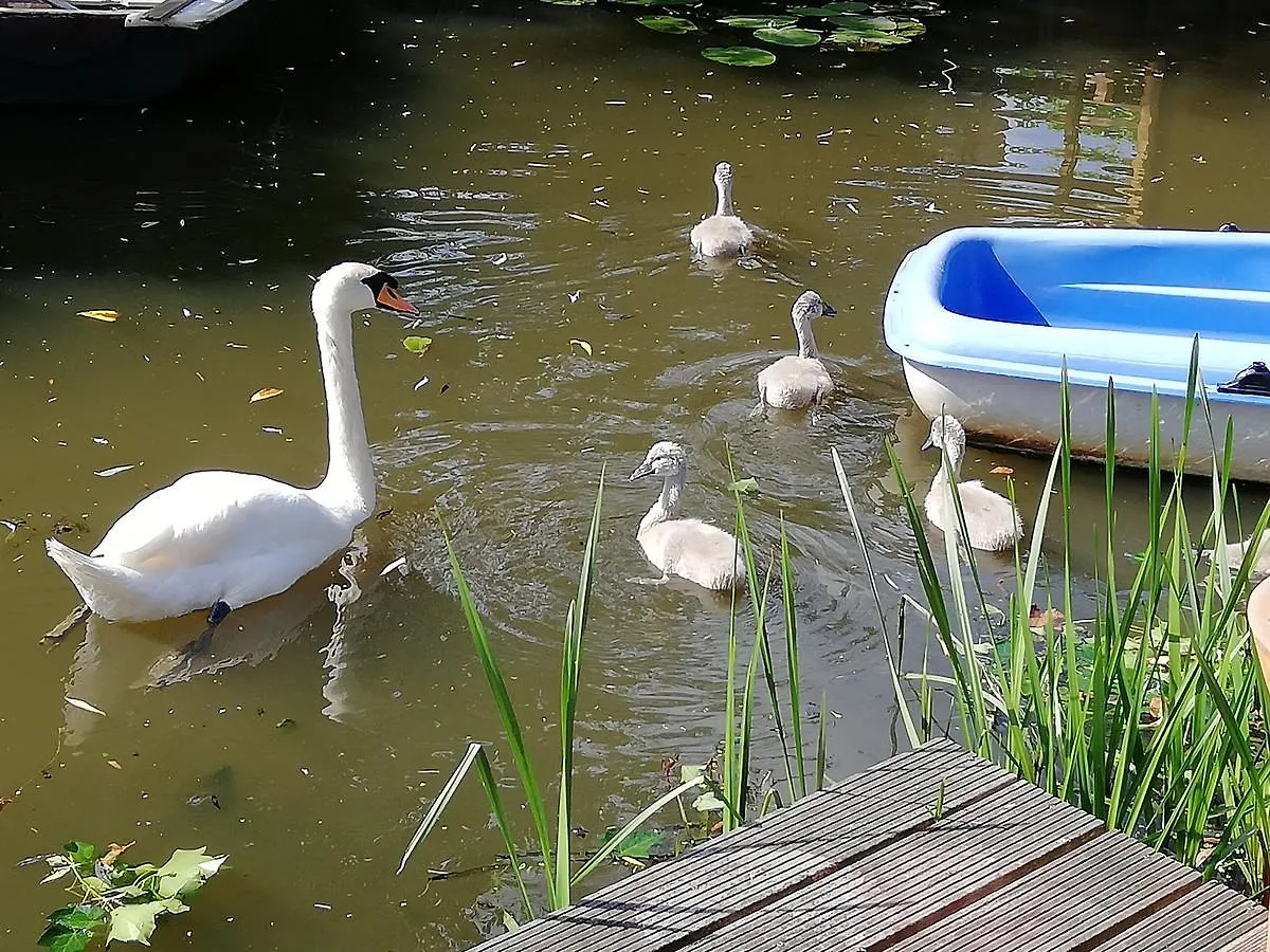 Canal Garden Apartment Staywell Amsterdam 0*,  Netherlands